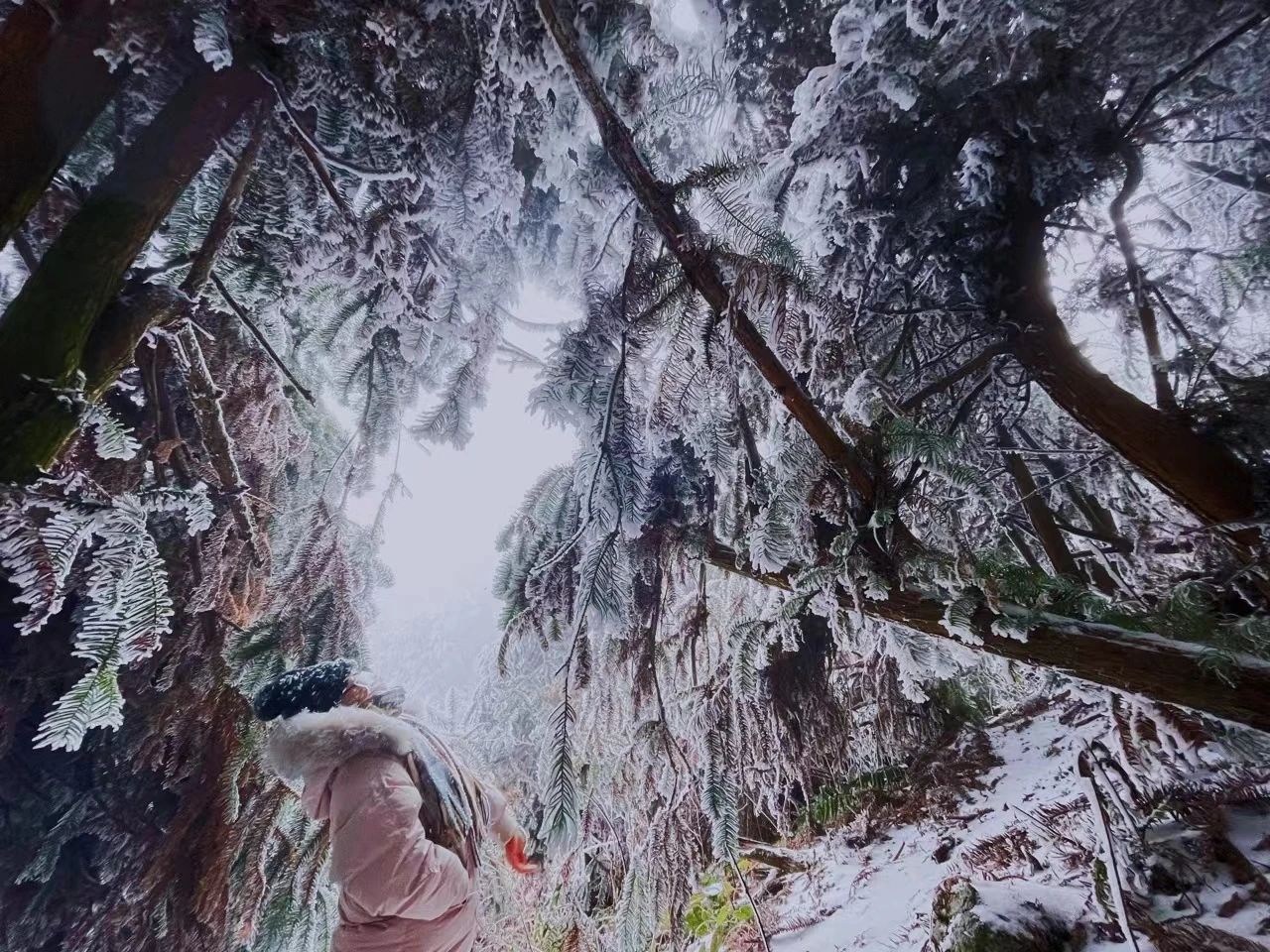 桂林资源隘门界的冬天，是大自然最唯美的时刻之一。