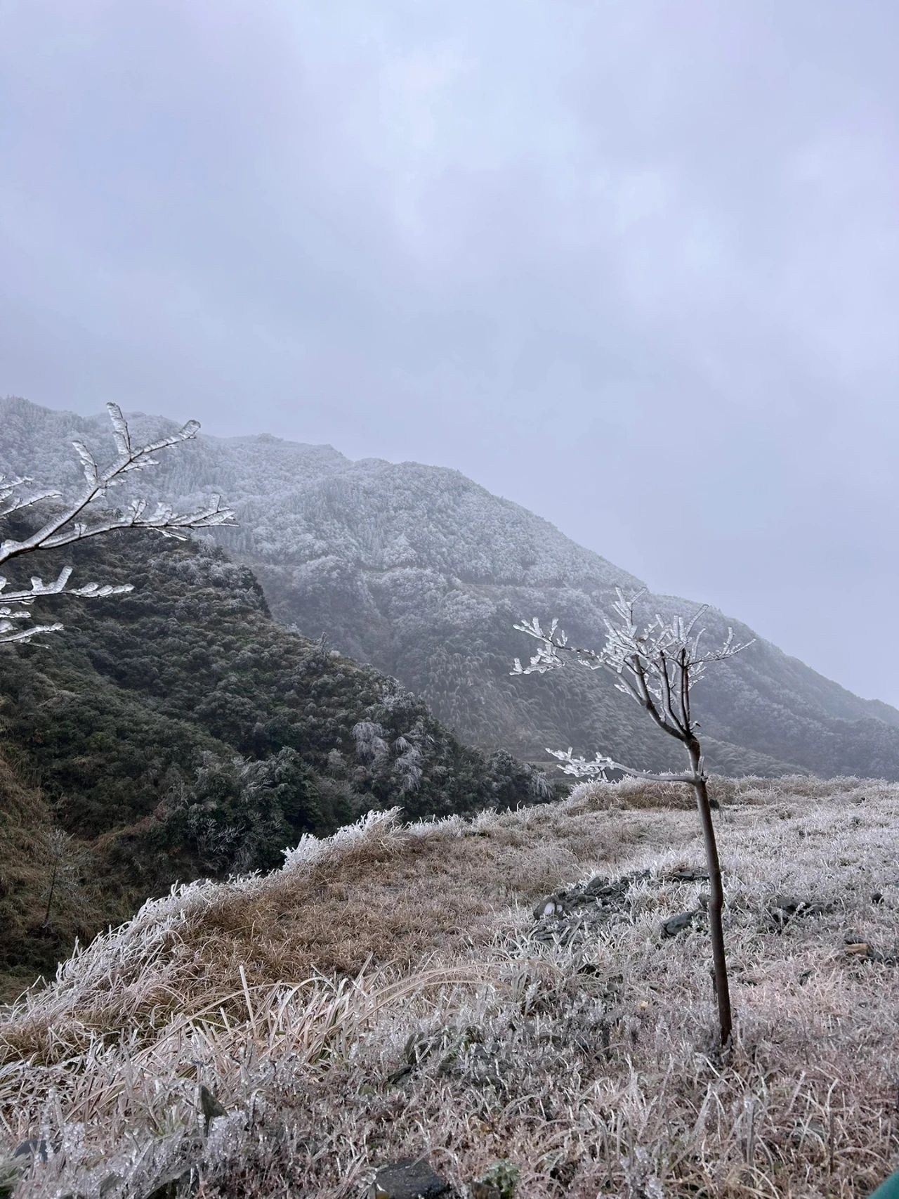 融水县高寒山区入眼可见的雪白高山 让人不经意间 仿佛进入另一个人间天堂 ...